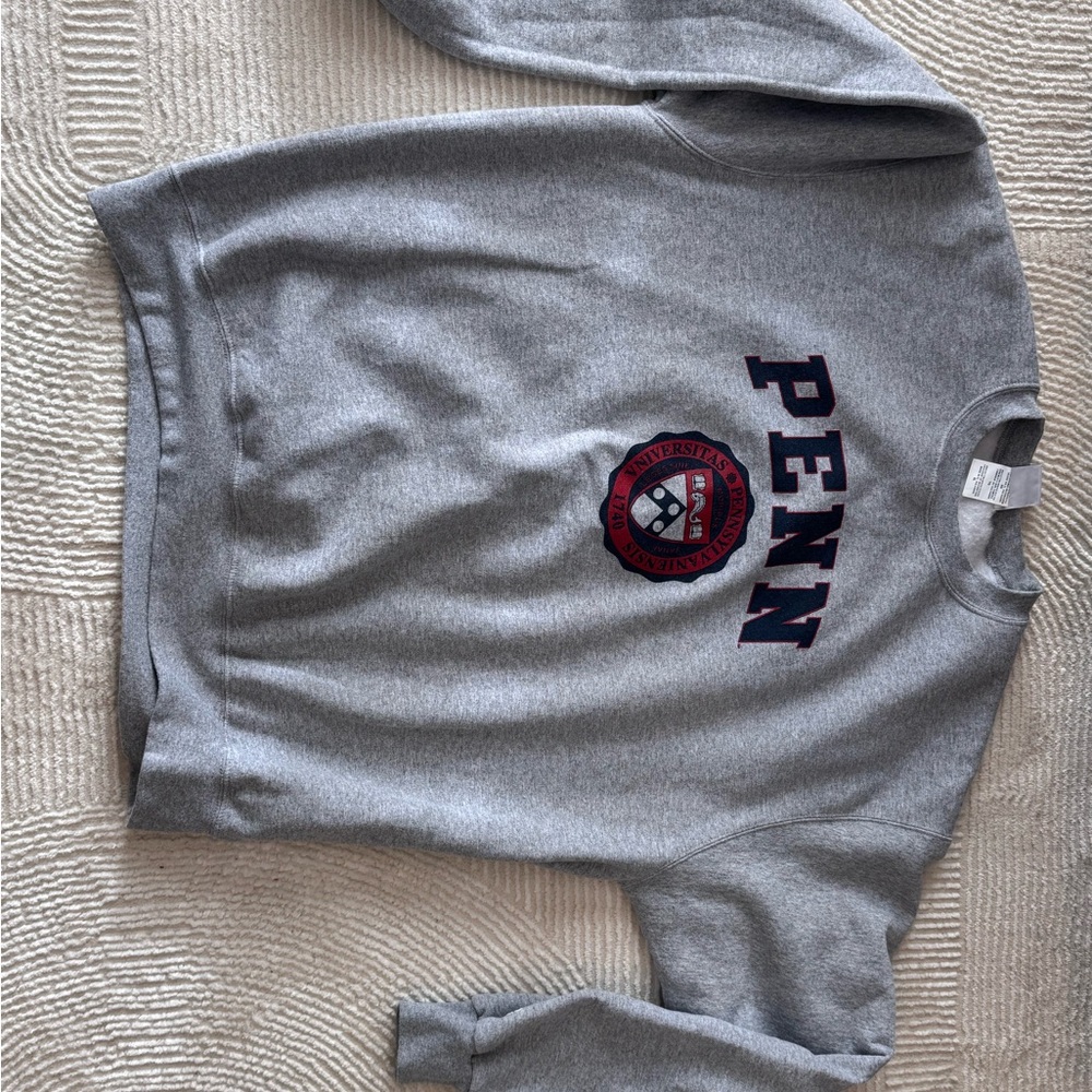 Gray Penn University Men's Sweater